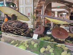 -杭州大厦LSE城市生活超市(杭州大厦店)