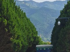 -秦始皇帝陵博物院(兵马俑)