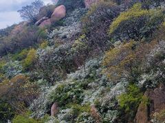 -北京凤凰岭