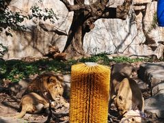 -全家便利店(虹井路店)