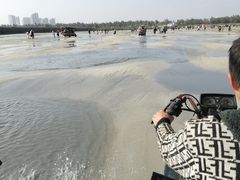 -红树林天天赶海