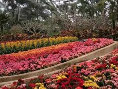 -南山植物园
