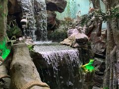 -多彩贵州城极地海洋世界