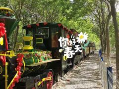 -西青郊野公园