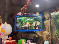 -卡通尼·Safari非洲探索乐园·生日会(金桥国际商业广场店)