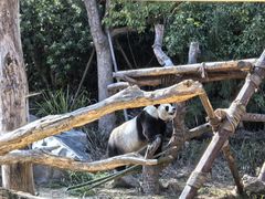 -宁波野生动物园