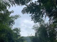 -山沟沟景区