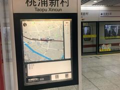 -桃浦新村(地铁站)