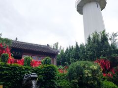 -烟台山景区