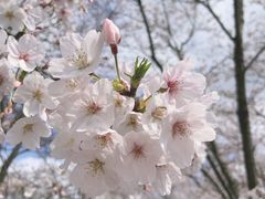 -龙美术馆(西岸馆)
