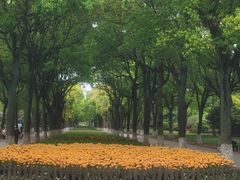 -上海鲜花港