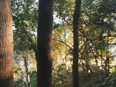 -广州市白云山风景名胜区