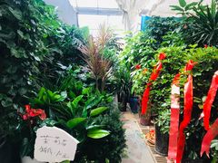 -秦美花卉(天朗·莱茵小城2期店)