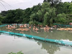 -宁波野生动物园