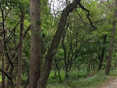 -帽儿山国家森林公园