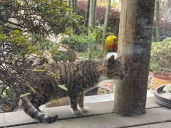 -呼吸森林·生态农庄农家乐私房菜