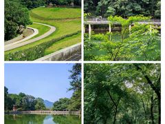 -广州市白云山风景名胜区