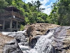 -广州白江湖森林公园