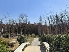 -呈贡滇池生态湿地公园
