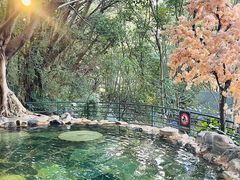 -湖泉半山温泉