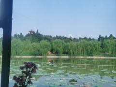 -榴莲咖啡馆