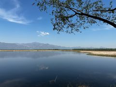 -野鸭湖国家湿地公园