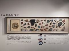 -华山263老字号品牌馆