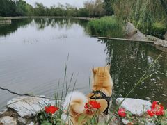 -静之湖度假区