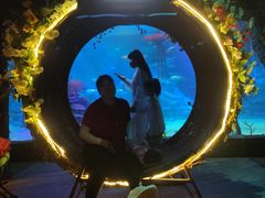 -沈阳海洋探索中心