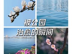 -莫愁湖公园