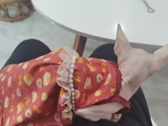 -团子家猫咪猫咖馆·柯基·柯尔鸭