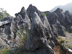 -千岛湖石林