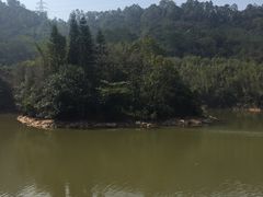 -滴水岩森林公园