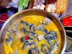 -Darling Queen·Mini·Live·House