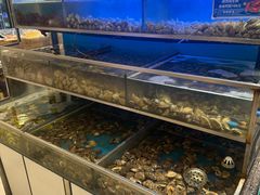 -海天一色海景自助餐厅(西港花园店)