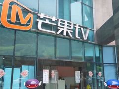 -圣爵菲斯大酒店(长沙世界之窗店)