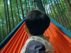 -山王坪喀斯特国家生态公园