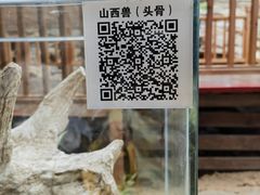 -中国第四纪冰川遗迹陈列馆