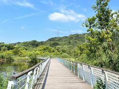 -西湖风景区-江洋畈生态公园