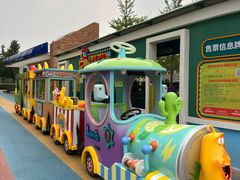 -大兴滨河森林公园