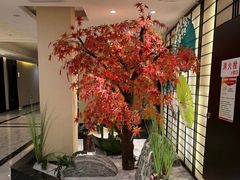 -汤里来温泉