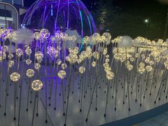 -农汤老店(顺联公园里店)