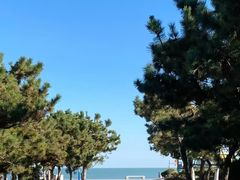 -巧克力渔家.小船海鲜家常菜(万平口店)