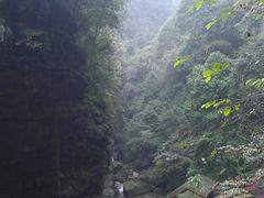 景点-碧峰峡风景区
