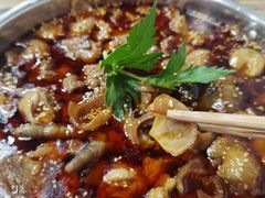 -肥肠鸡冷锅串串(广元利州广场店)
