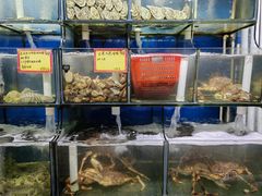 -蚝专家(北滘店)
