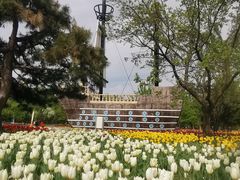 -长春公园(普阳街道)