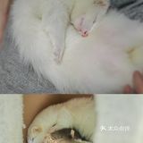 遇见萌宠，邂逅快乐