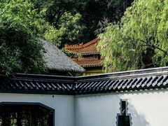 -深圳国际园林花卉博览园