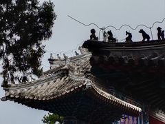 -莲花池公园